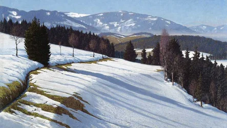 Black Forest with Schauinsland in the Background